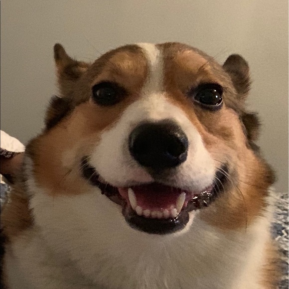 honski